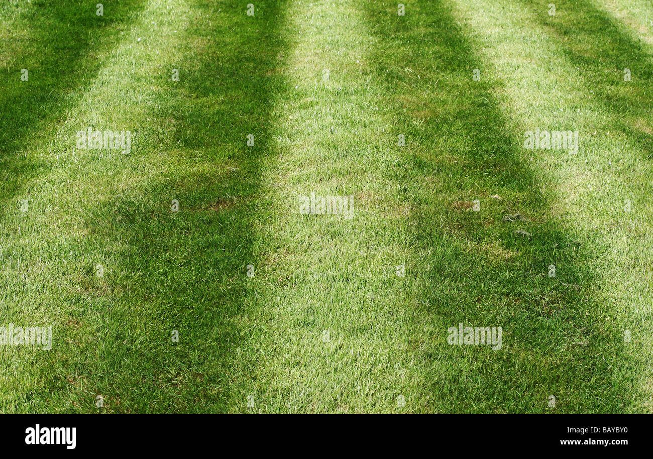 Makelloser grün gestreifter Rasen mit Streifen, die die Rasenpflege veranschaulichen Stockfoto
