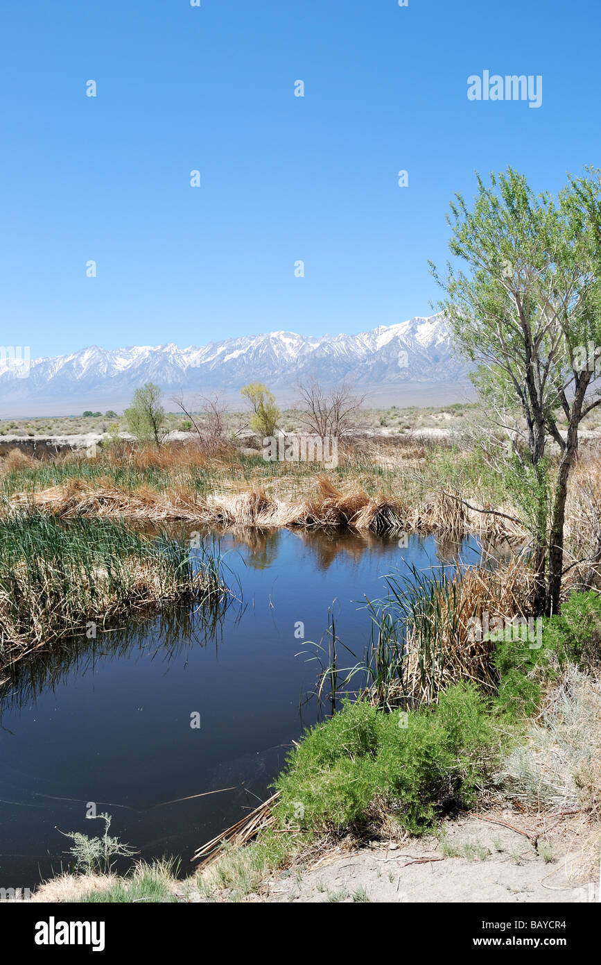 Owens River und den östlichen Hang der Sierra Nevada in Kalifornien in der Nähe von Unabhängigkeit und U.S. Highway 395 Stockfoto