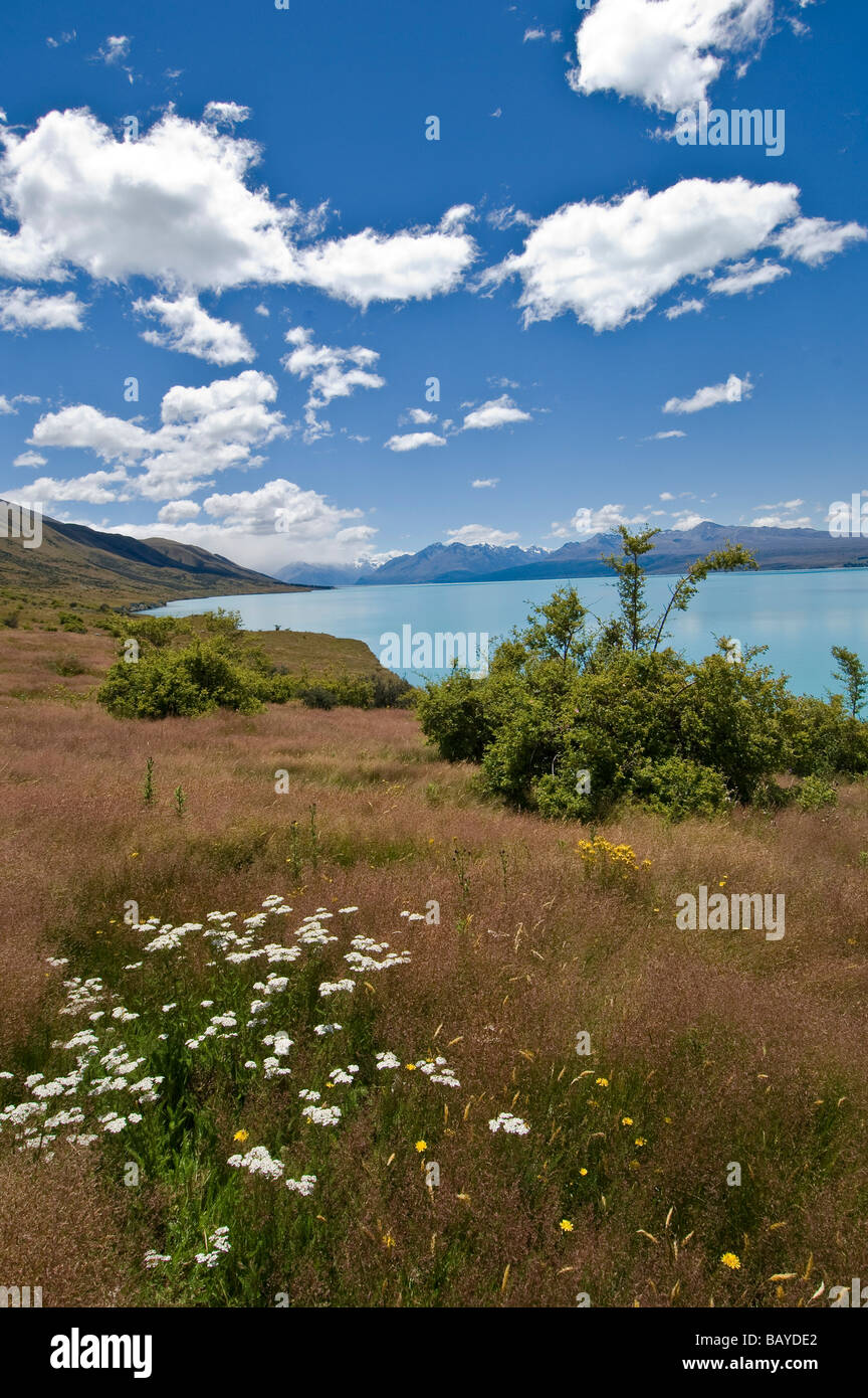 Lake Pukaki Südinsel Neuseeland Stockfoto