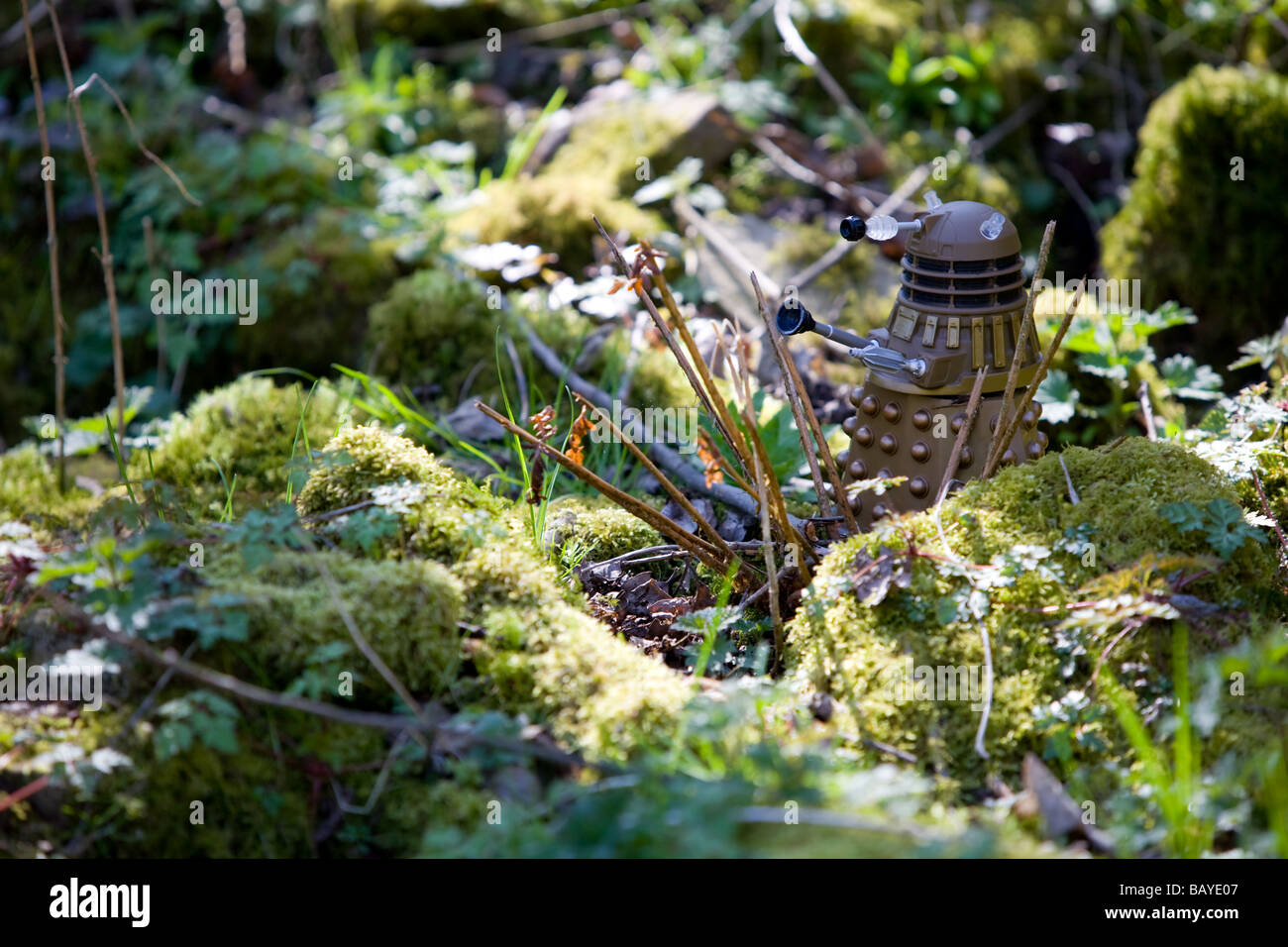 Ein Dalek im Wald Stockfoto