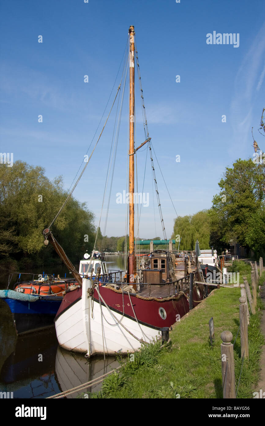 holländische Lastkahn großen weißen Freizeit Vergnügen Boot Schiff vertäut Fluss Medway Allington Kent England uk Europa Stockfoto