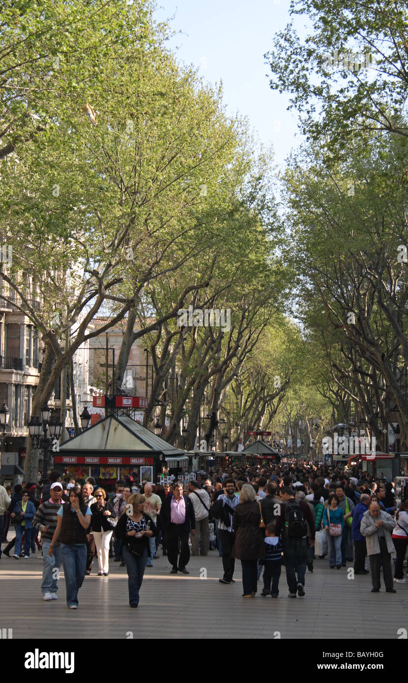 Die beliebten Bäumen gesäumten Straße, Las Ramblas in Barcelona, Spanien. Stockfoto