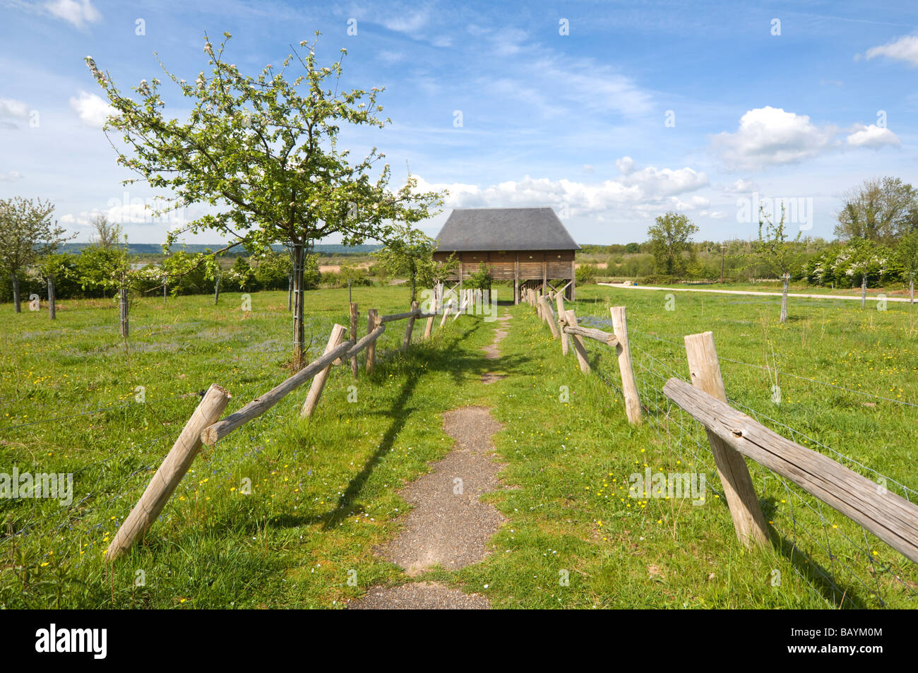 Landschaft der Normandie Frankreich Stockfoto