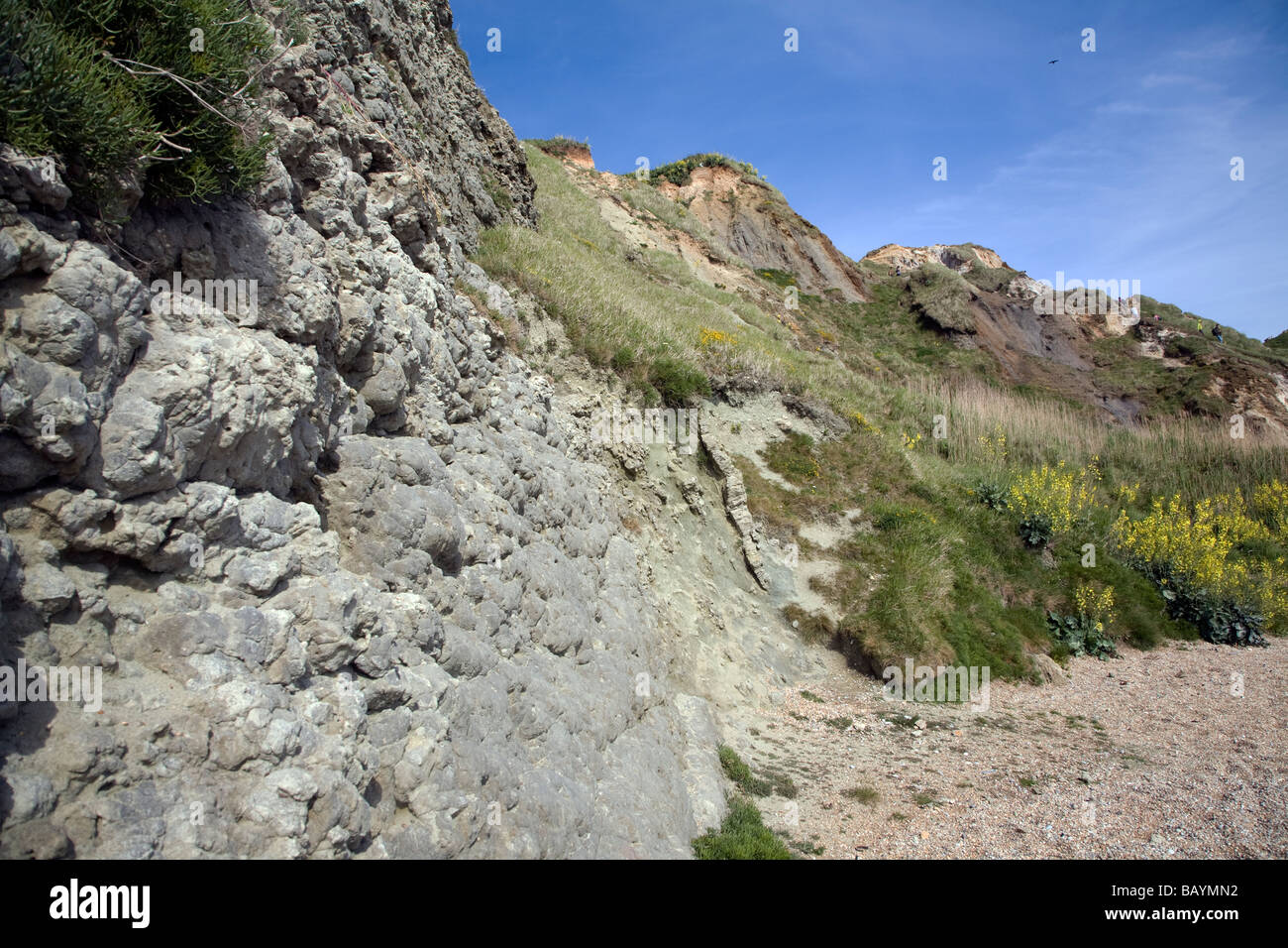 GreenSand und Tone mass Bewegung von weichem Gestein Strand von Durdle Door, Dorset, England Stockfoto