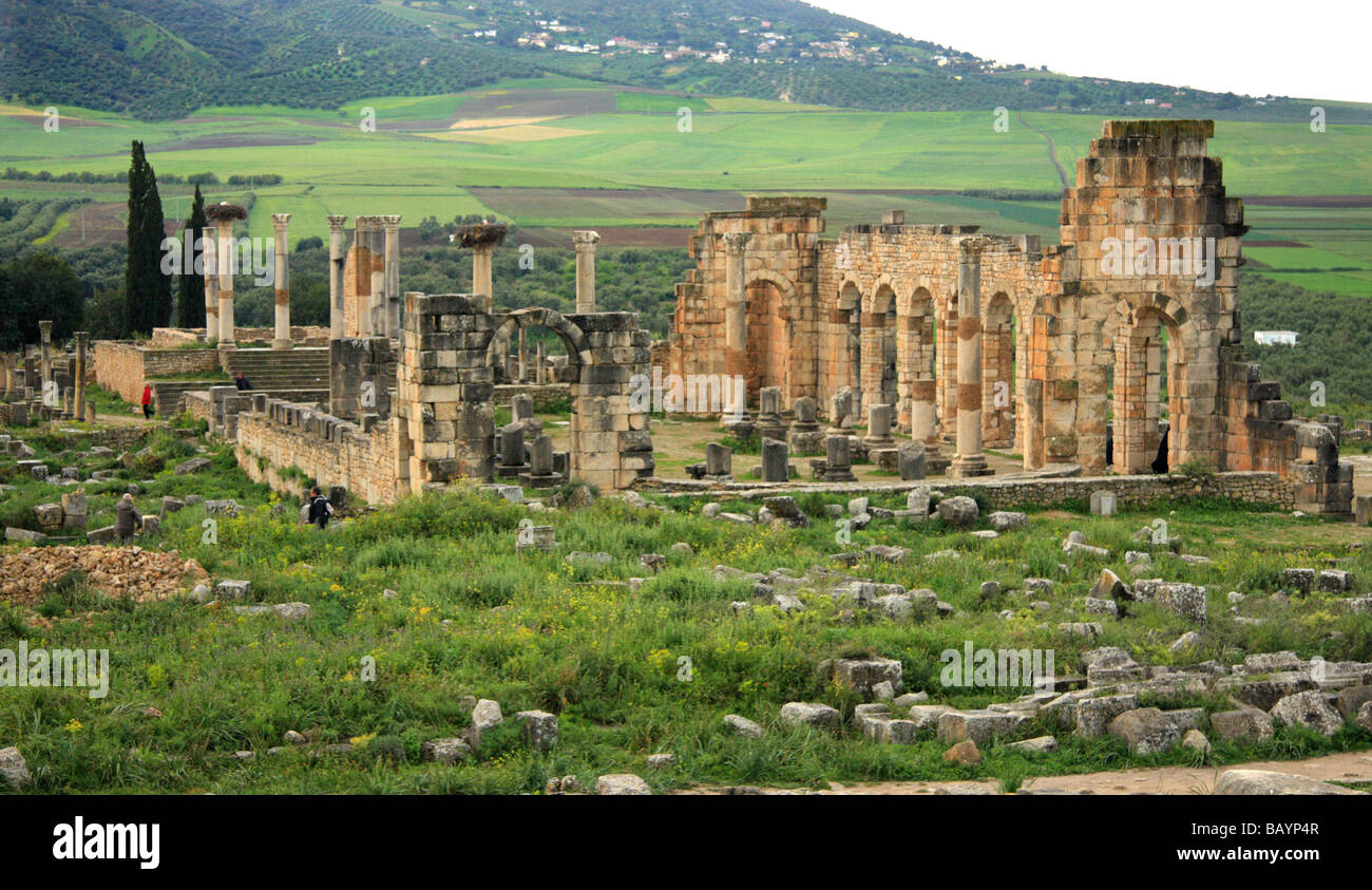 Frühling in Volubilis; die UNESCO eingeschrieben römischen Ruinen auf einem langen, hohen Plateau nördlich von Meknes in Marokko, Nordafrika Stockfoto