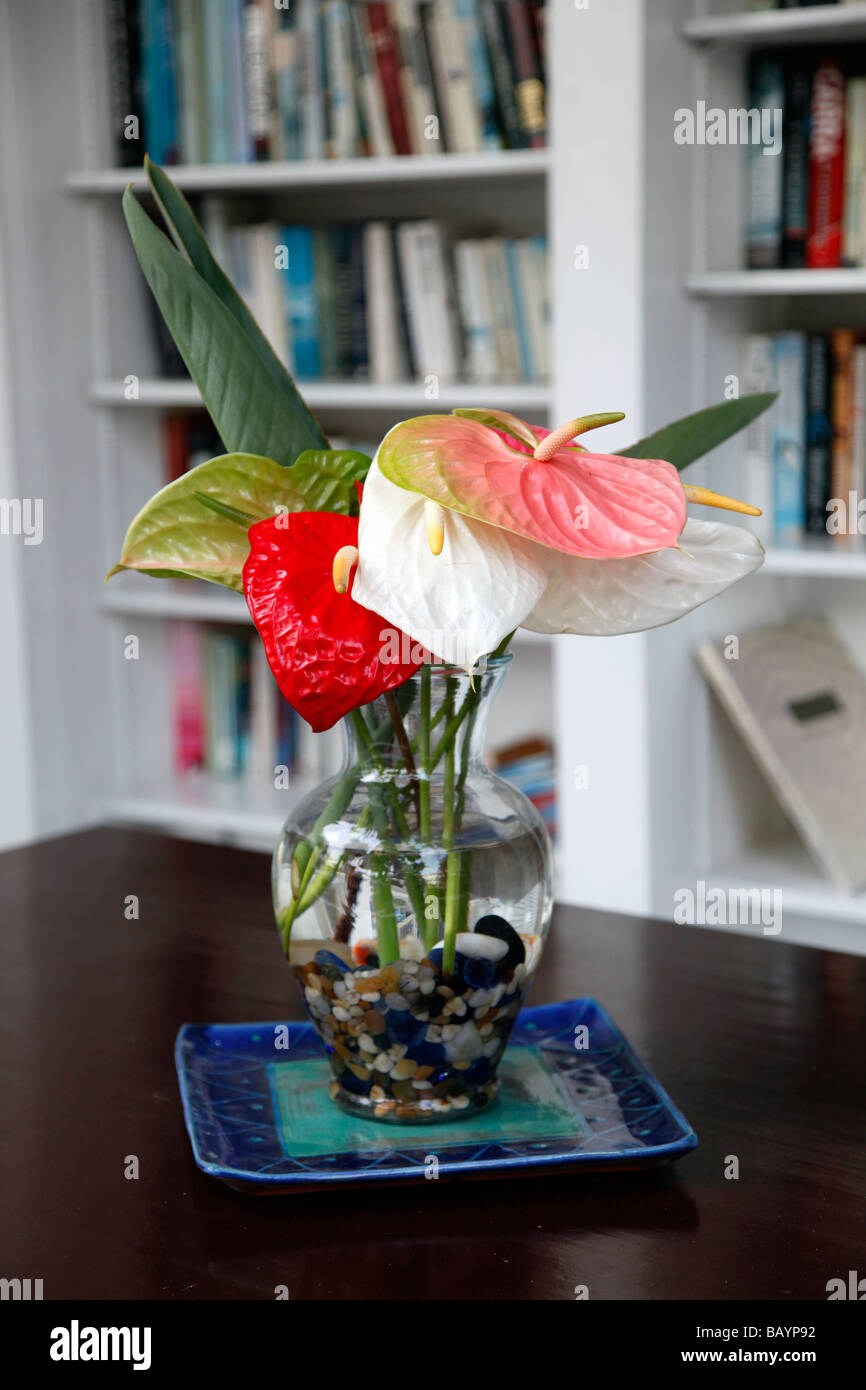 Tropische Blumen in einer Vase mit auf einem Holztisch mit Büchern auf Buchregal hinter Stockfoto