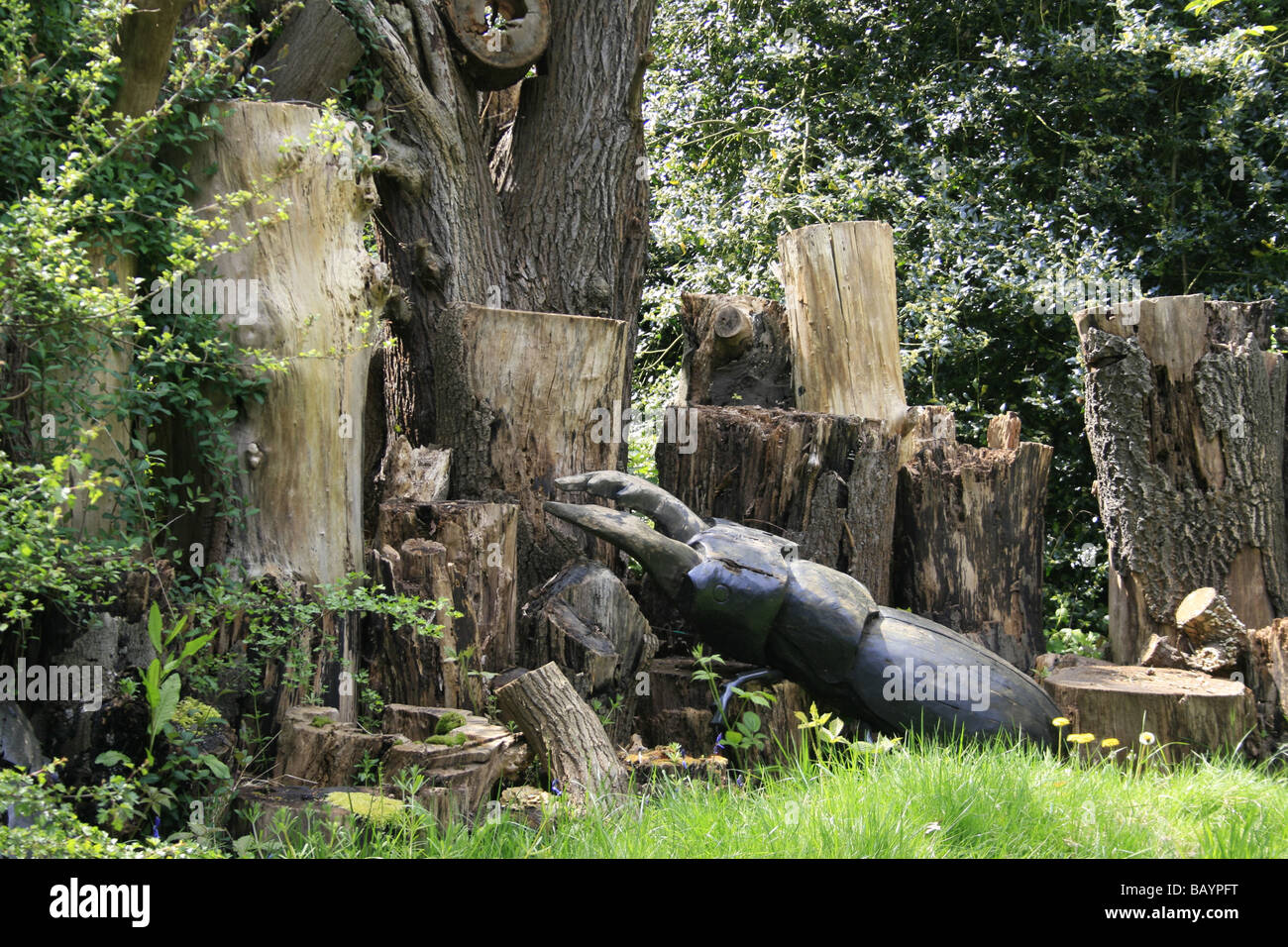 Holzskulptur von einem riesigen Hirschkäfer in das Waldgebiet von Kew Gardens, Surrey Stockfoto