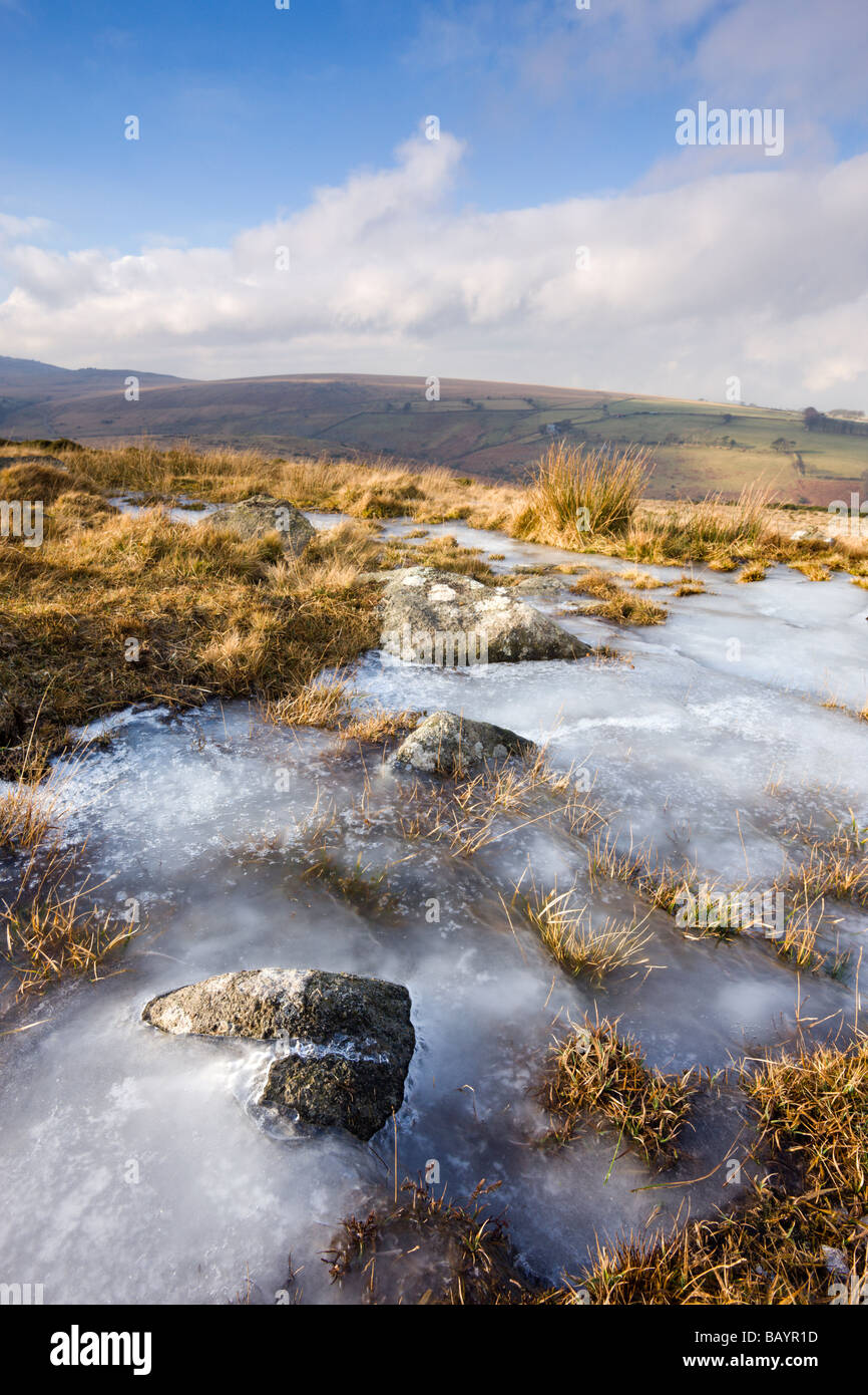 Eis auf gefrorenen Moor am Belstone gemeinsamen Dartmoor National Park Devon England Januar 2009 Stockfoto