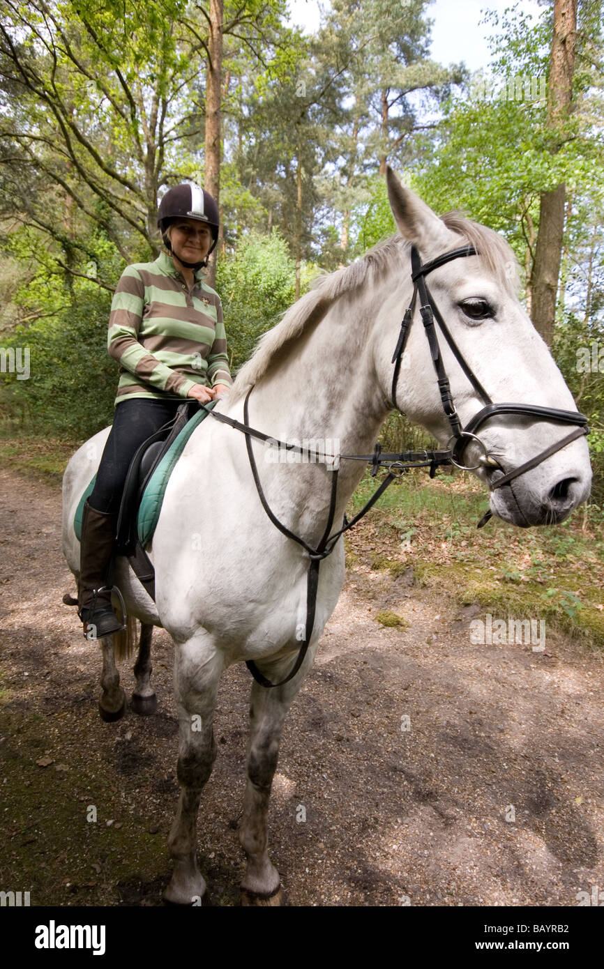 Reiter Stockfoto