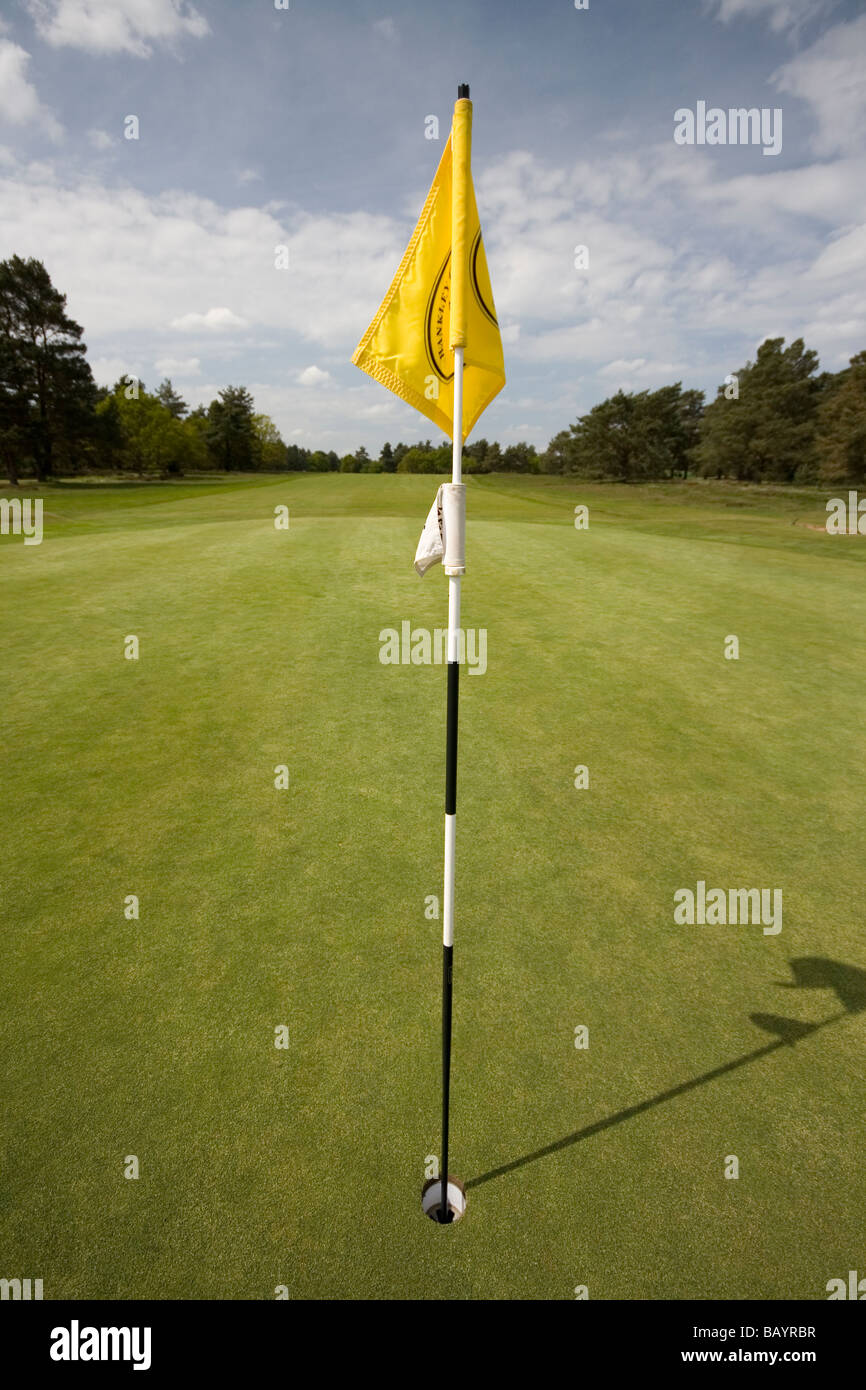 Golf-Fahne auf dem Grün. Stockfoto