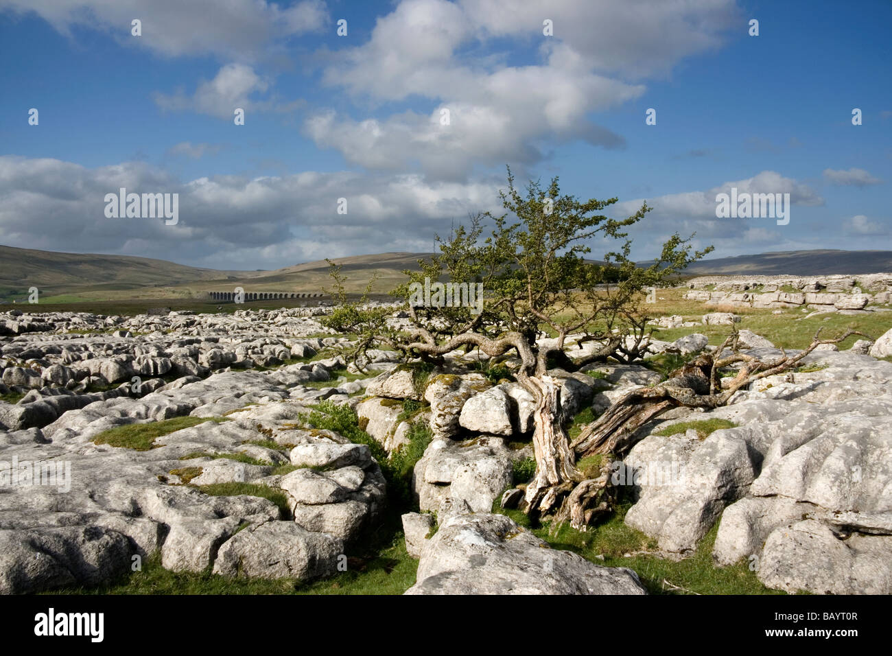 Ein Blick auf Ingleborough, ein Berg in der Yorkshire Dales National Park, North Yorkshire, UK Stockfoto