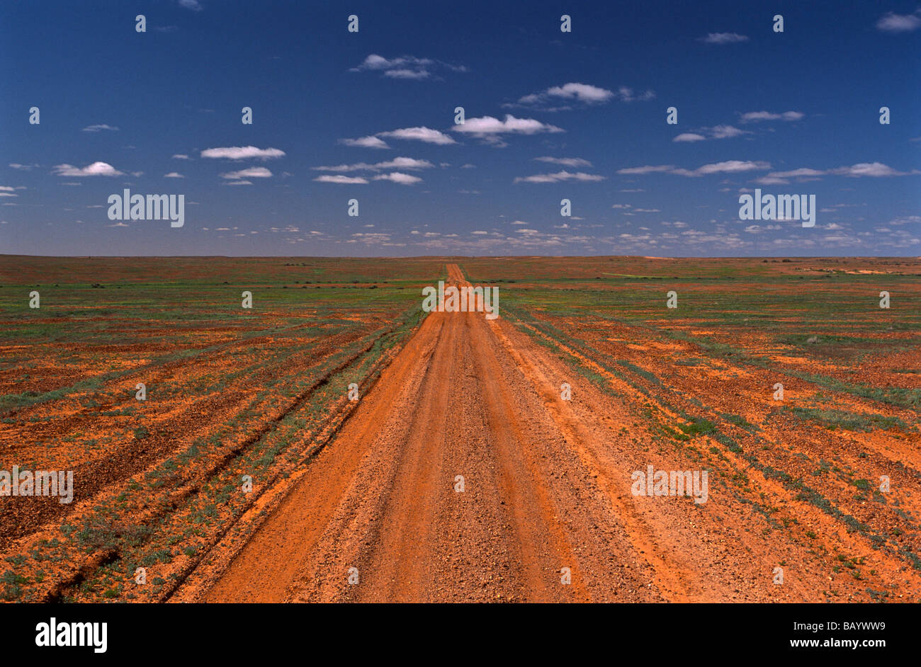 Straße, Outback Australien Stockfoto