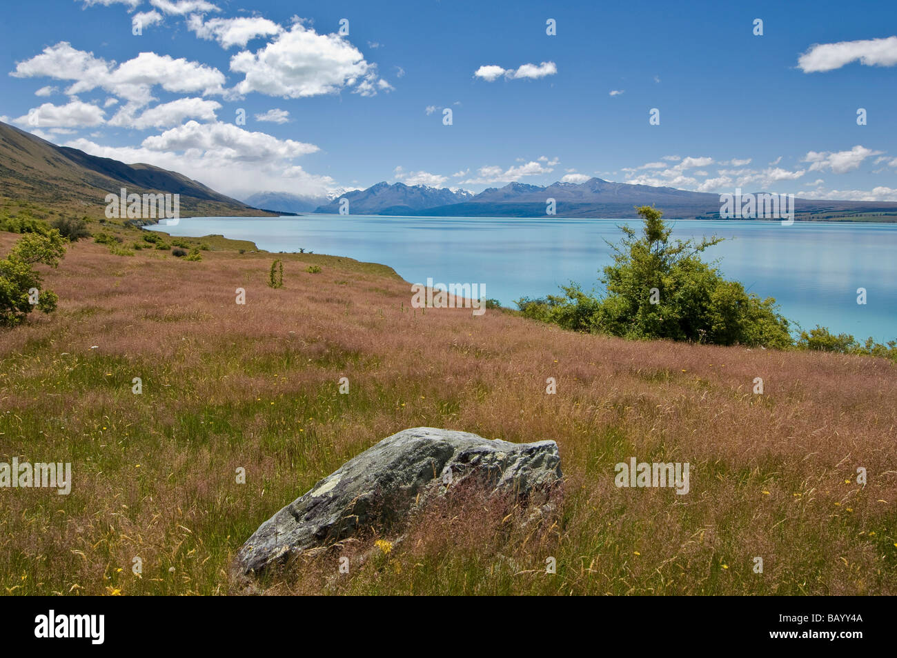 Lake Pukaki Südinsel Neuseeland Stockfoto