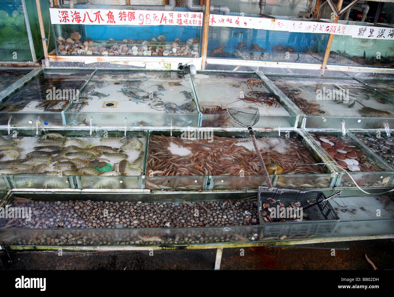 Fischmarkt auf Cheung Chau Island Stockfoto