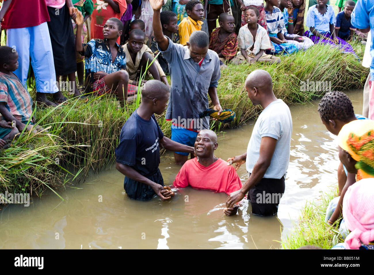Erwachsene christliche Taufe durch völliges Eintauchen in einen flachen Fluss im Dorf Nyombe, Malawi, Afrika Stockfoto