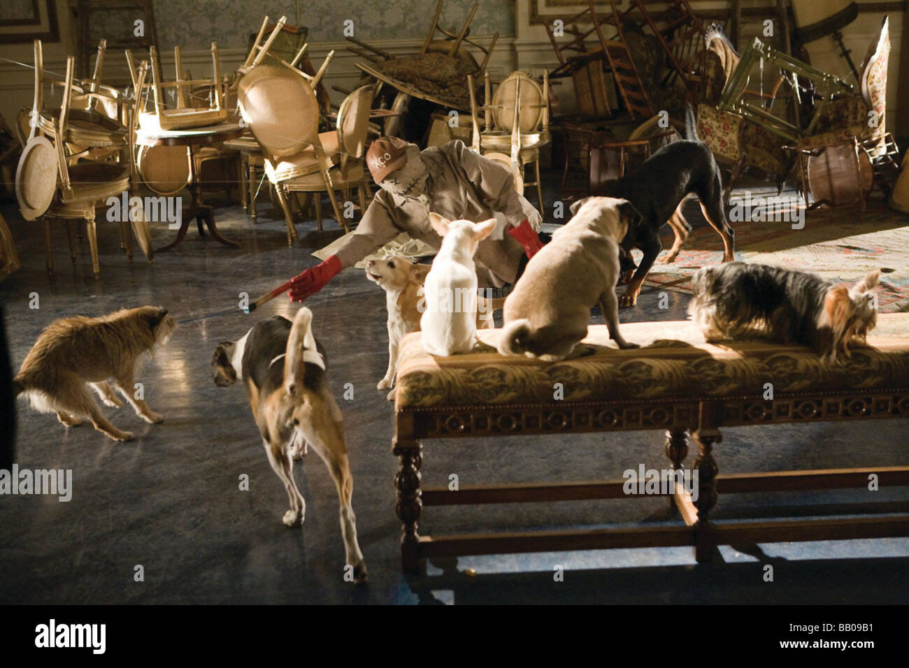 Hundehotel Jahr: 2009 Direktor: Thor Freundenthal Stockfoto