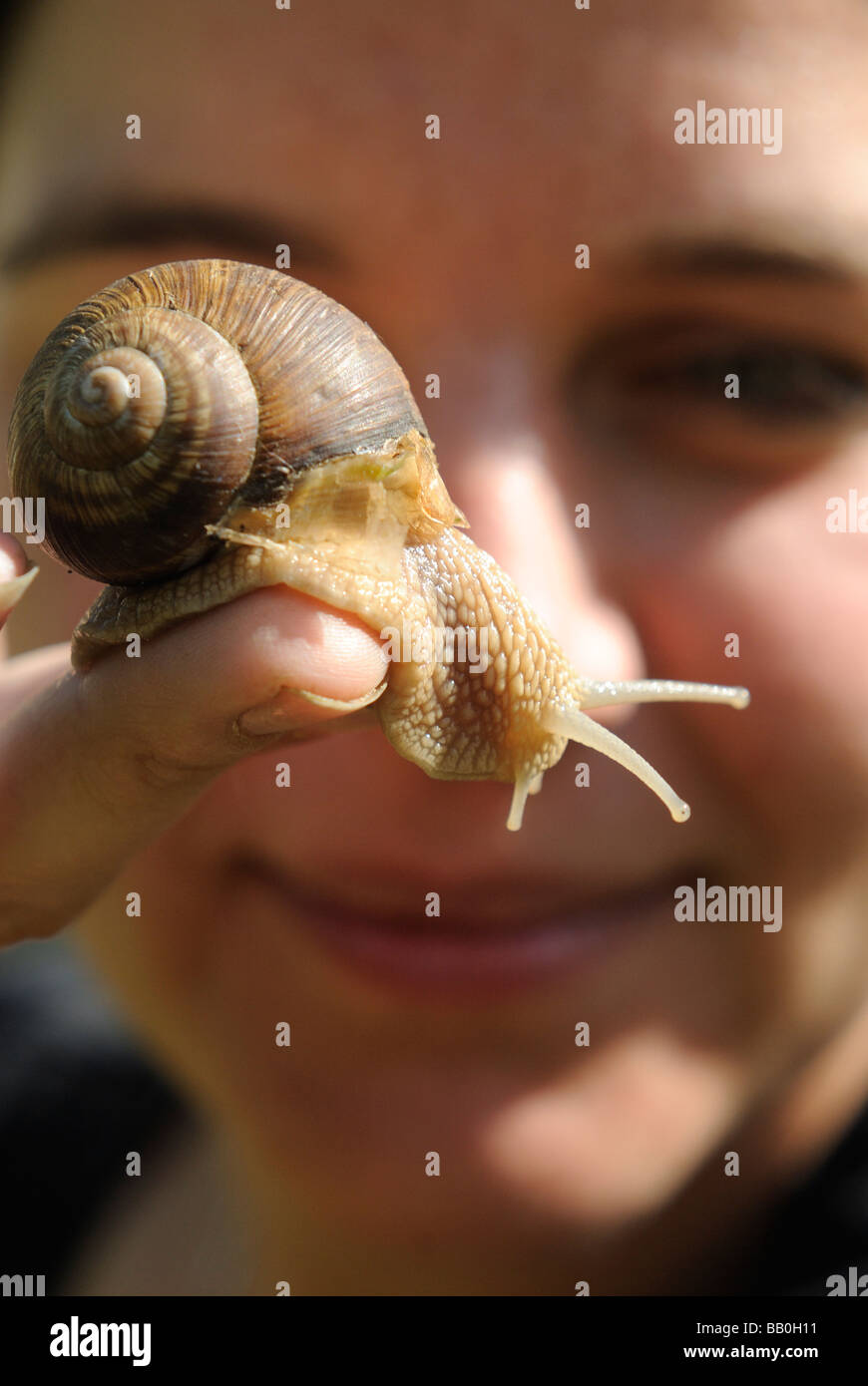 Frau s Hand mit Helix Pomatia Schnecke Europa Garten Stockfoto