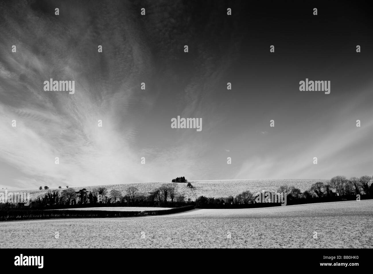 Schwarz und weiß der South Downs im Schnee Stockfoto