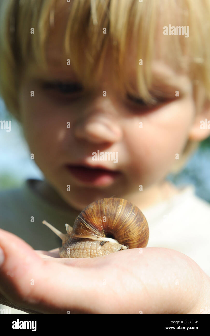 Frau s Hand mit Helix Pomatia Schnecke Europa Garten Stockfoto