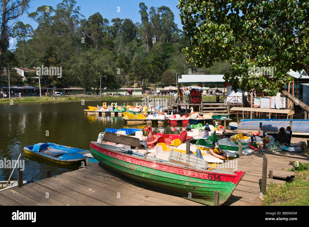 Boote in Kodaikanal Lake Tamil Nadu Indien Stockfoto