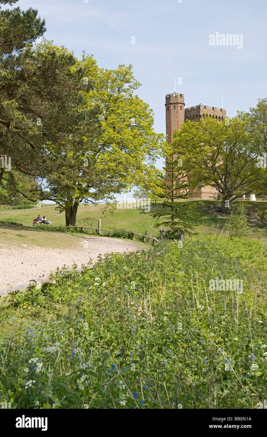 Leith Hill Tower in Surrey, England. Stockfoto