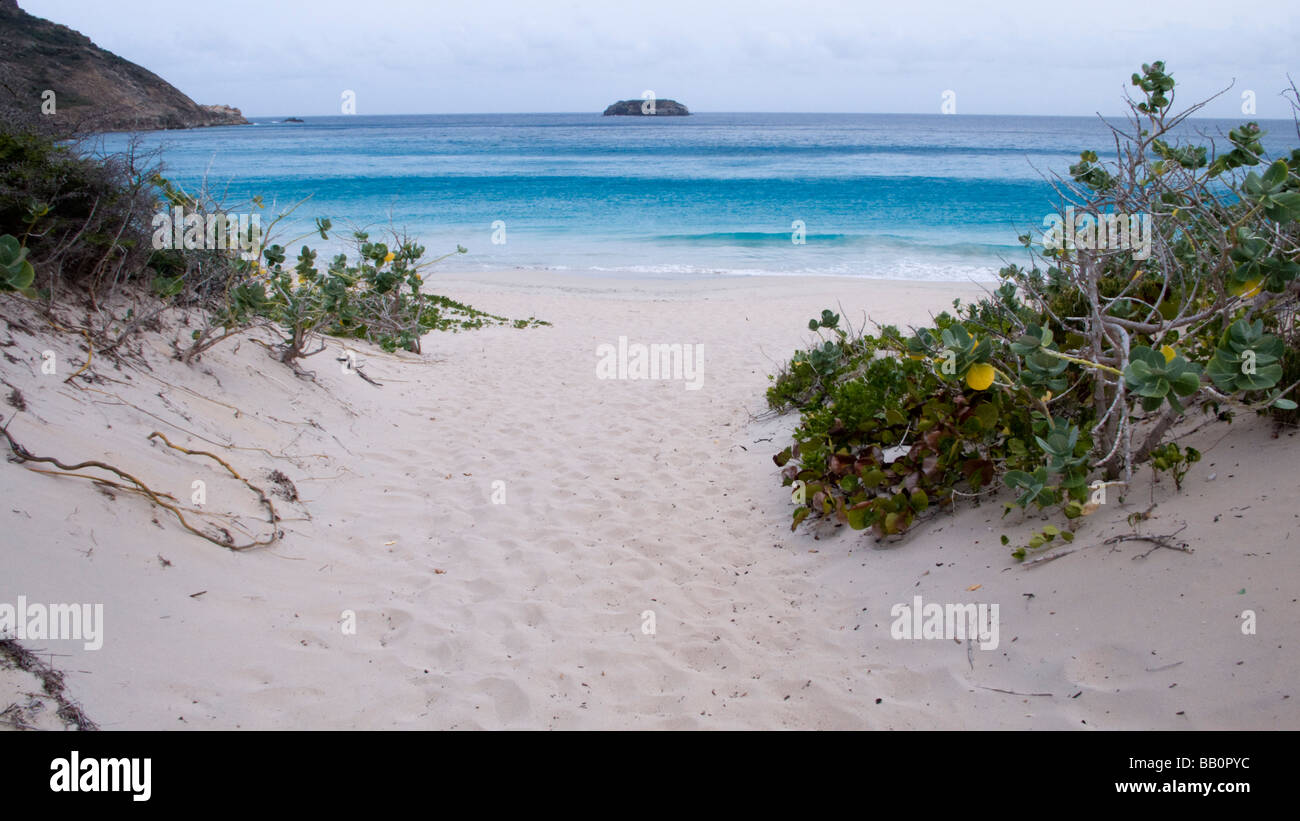 Sandy Weg zur Anse Grande Saline Strand St. Barts Stockfoto