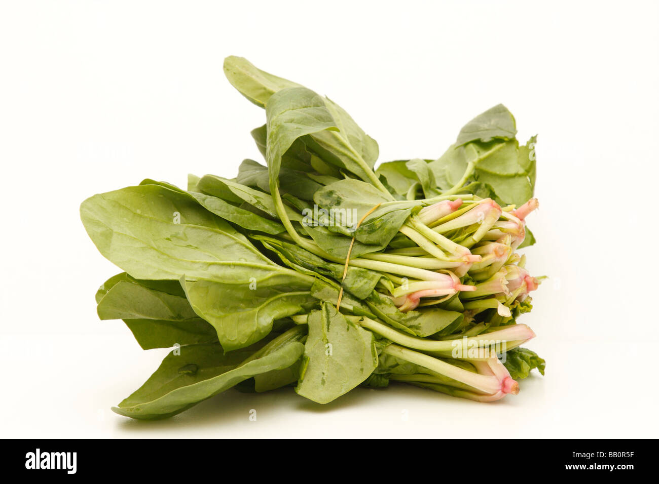 Ein Bündel von Spinat isoliert (Ausschnitt) auf weißem Hintergrund. Stockfoto