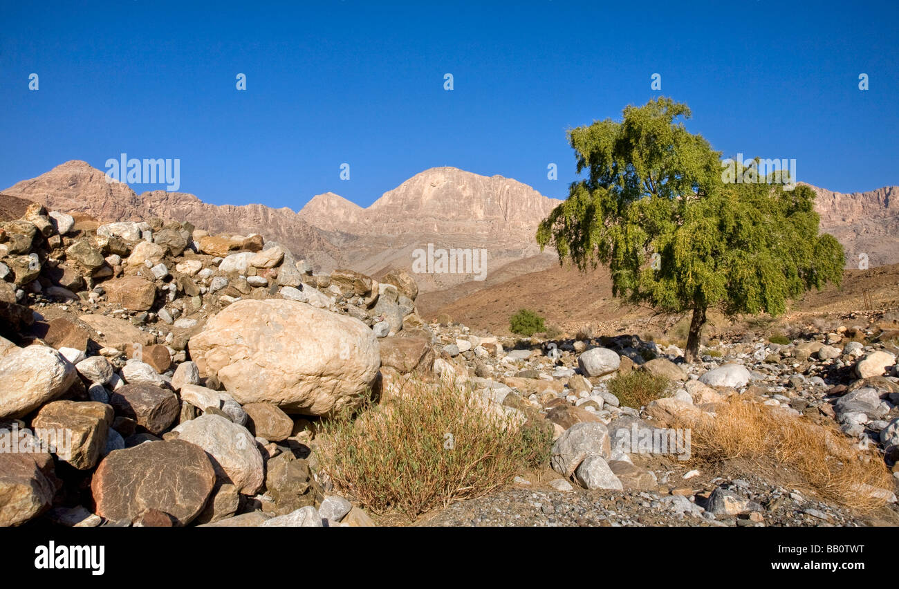 Klippen des Dschebel Misfa; Wadi Ghul, Hajjar Berge, Oman Stockfoto