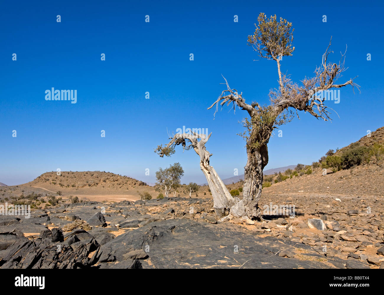 Ausgesetzt und karge Hochebene des Jabal Shams; Hajjar Berge, Oman Stockfoto