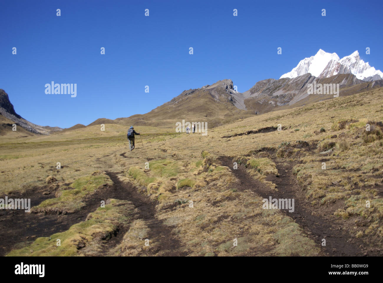 Wanderer auf dem Weg in den hohen Anden Yerupaja im Hintergrund Cordillera Huayhuash Anden Peru Südamerika Stockfoto