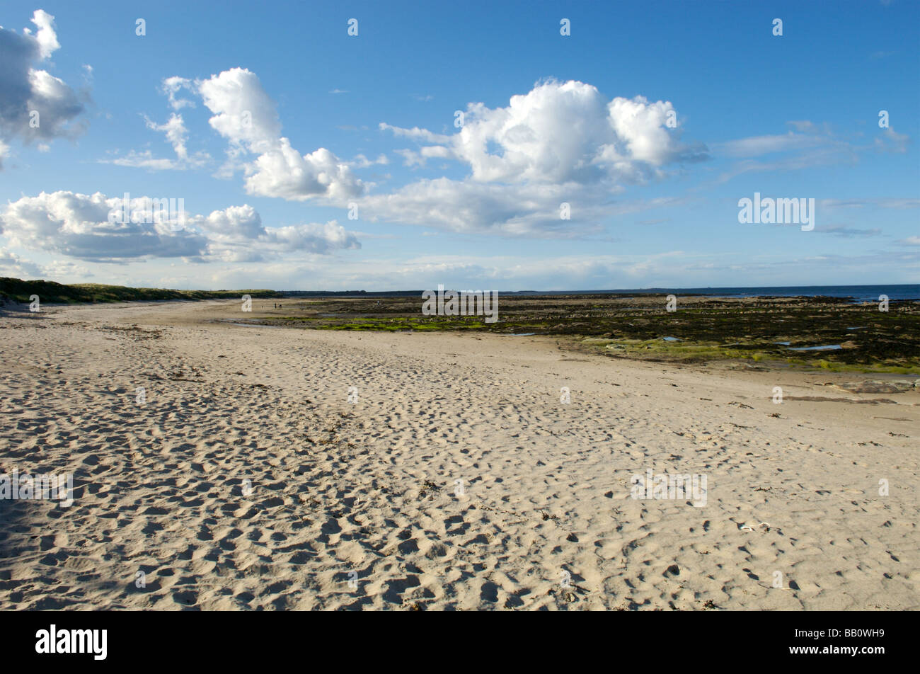 Beadnell Strand, Northumberland Stockfoto