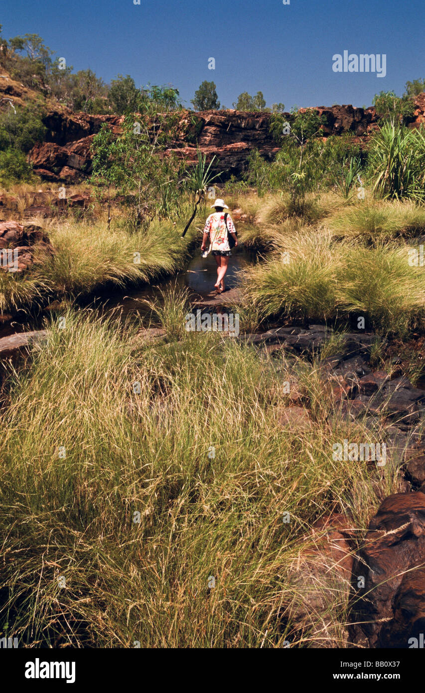 Kimberley Wandergebiet, Western Australia Stockfoto