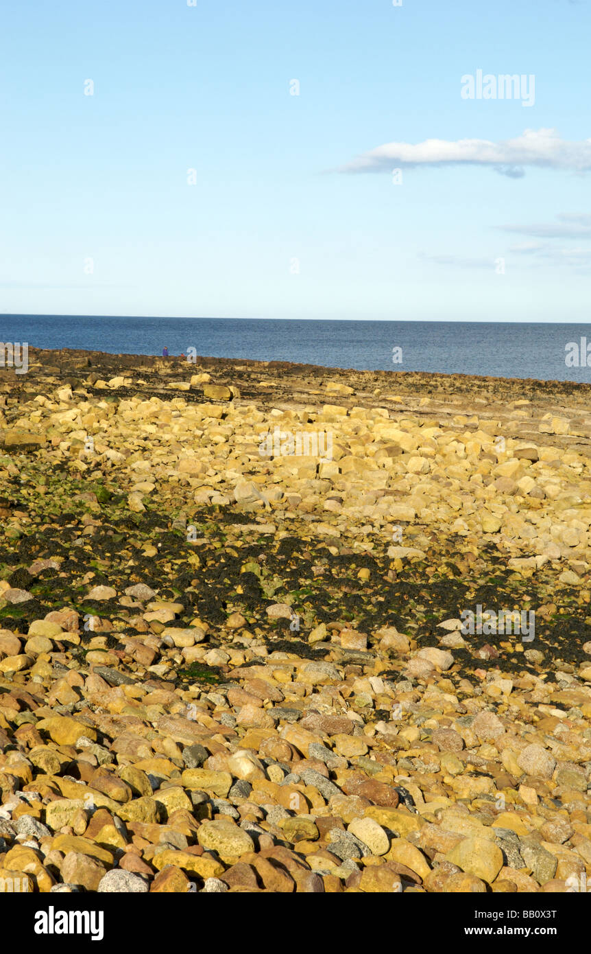Beadnell Strand, Northumberland Stockfoto