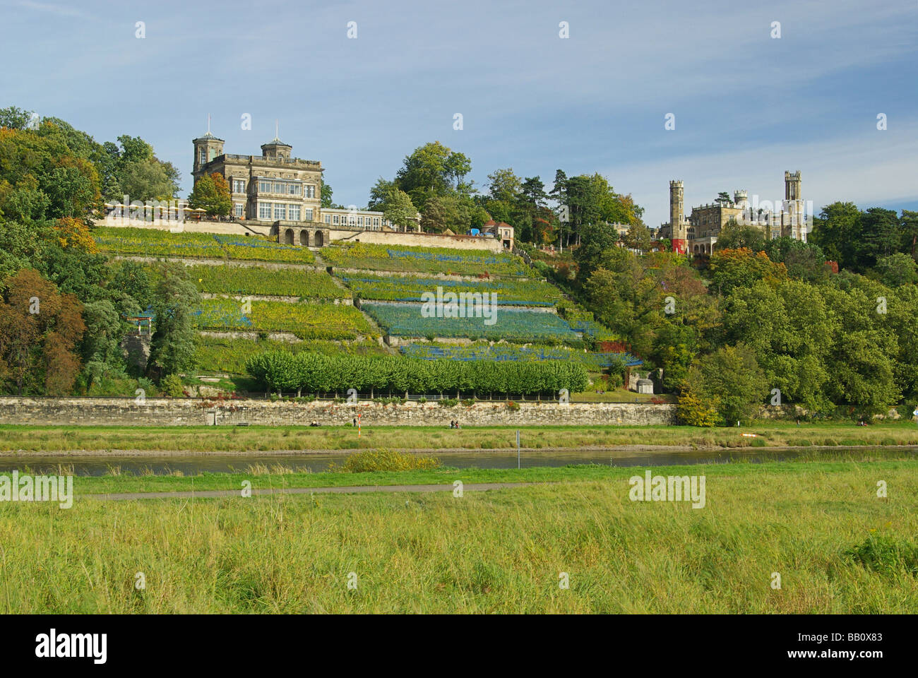 Elbschlösser Dresden Dresden Paläste an Elbe 08 Stockfoto