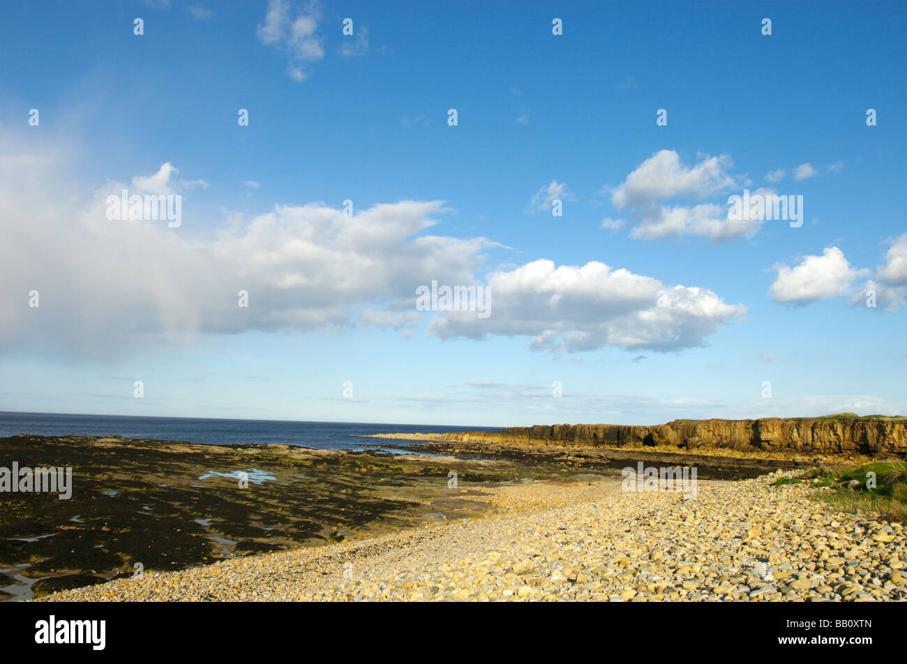 Beadnell Strand, Northumberland Stockfoto