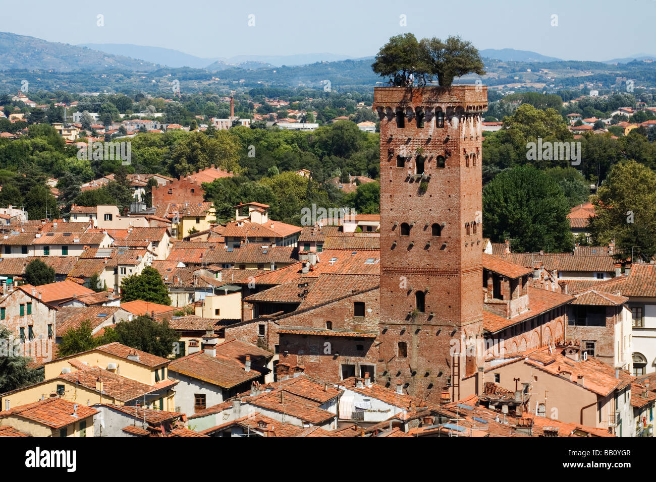 Torre Guinigi - Lucca - Toskana - Italien Stockfoto