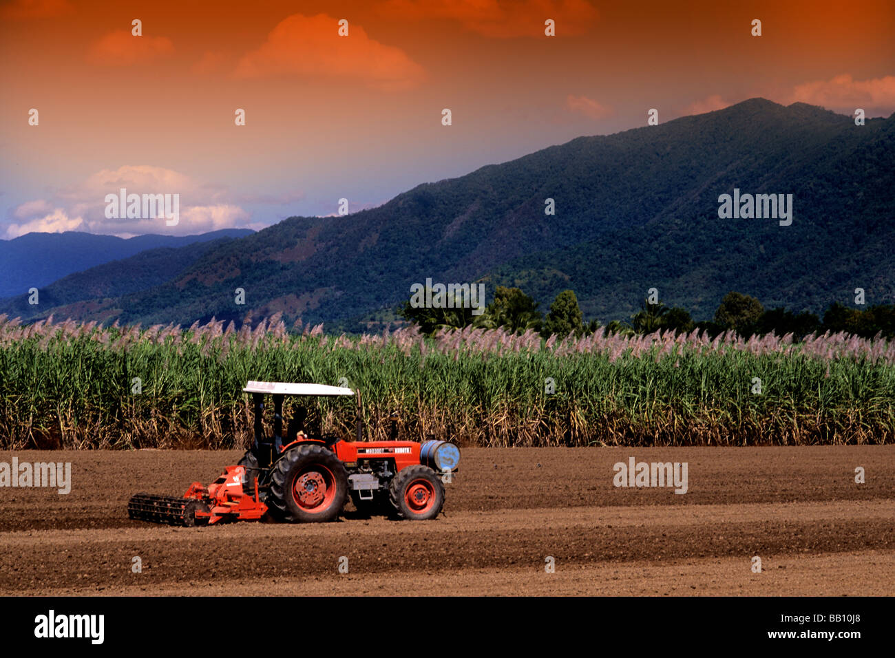 Traktor Pflügen der Felder am lokalen Zucker Farm in der Nähe von Rex Lookout in Cairns-Australien-Queensland Stockfoto