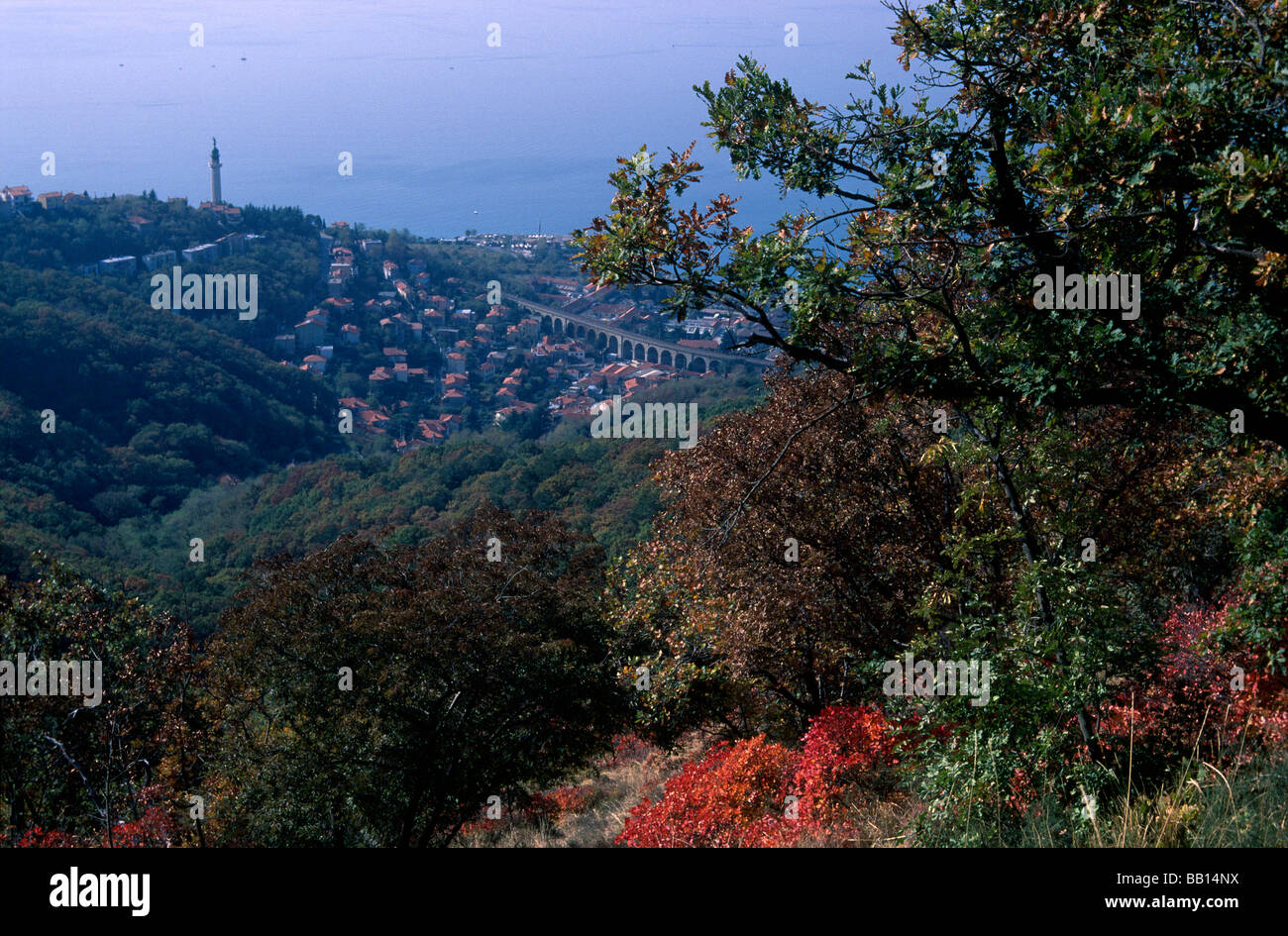 Triest vom Opcina aus gesehen Stockfoto