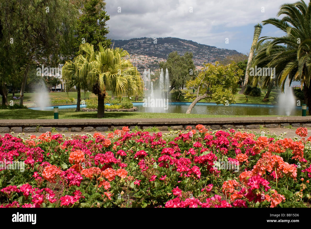 Stadtpark Funchal am Meer Stadt portugiesische Insel Madeira im mittleren Atlantik Stockfoto