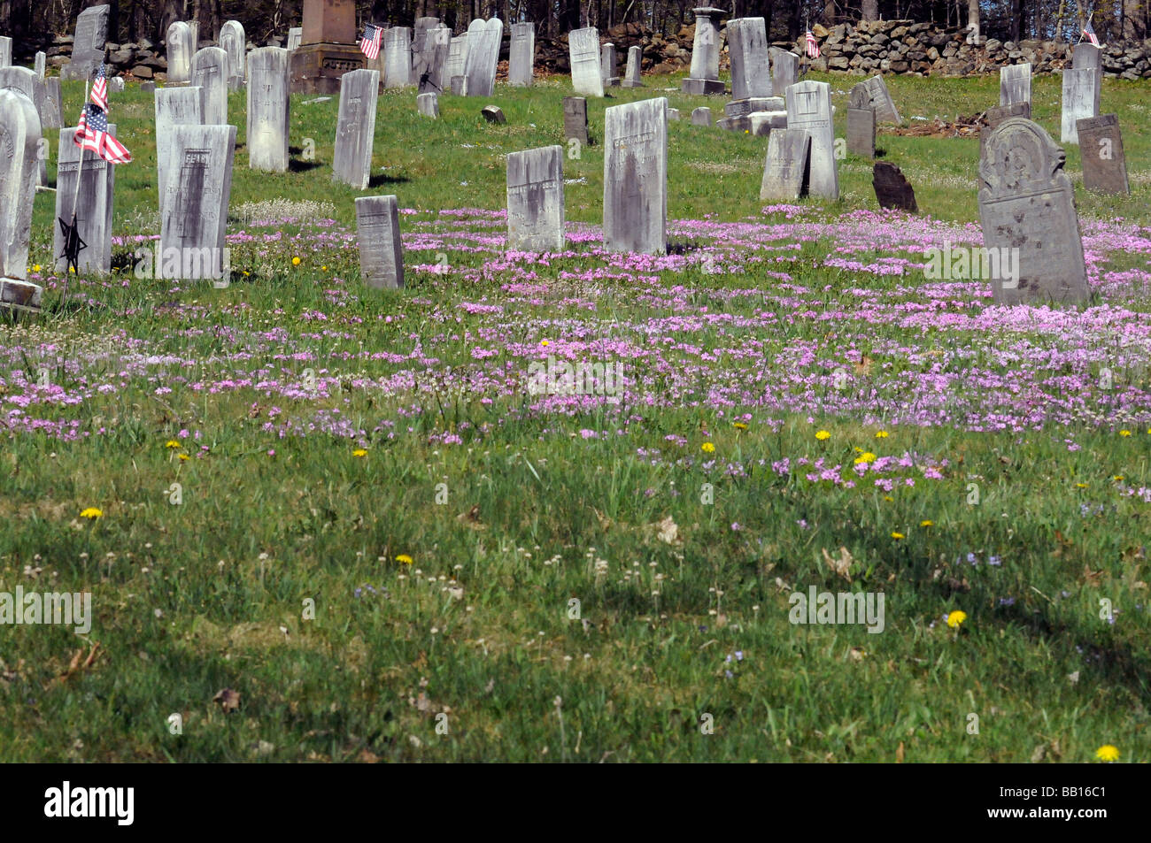 Historischen Friedhof mit Flowere im Frühjahr Stockfoto