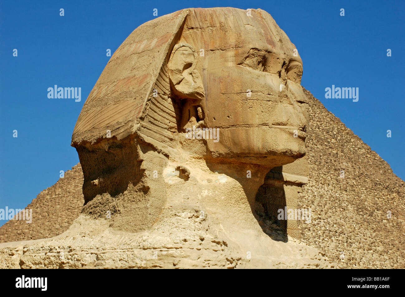 Ägypten, Gizeh. Leiter der Sphynx mit einer Pyramide im Hintergrund. (RF) Stockfoto