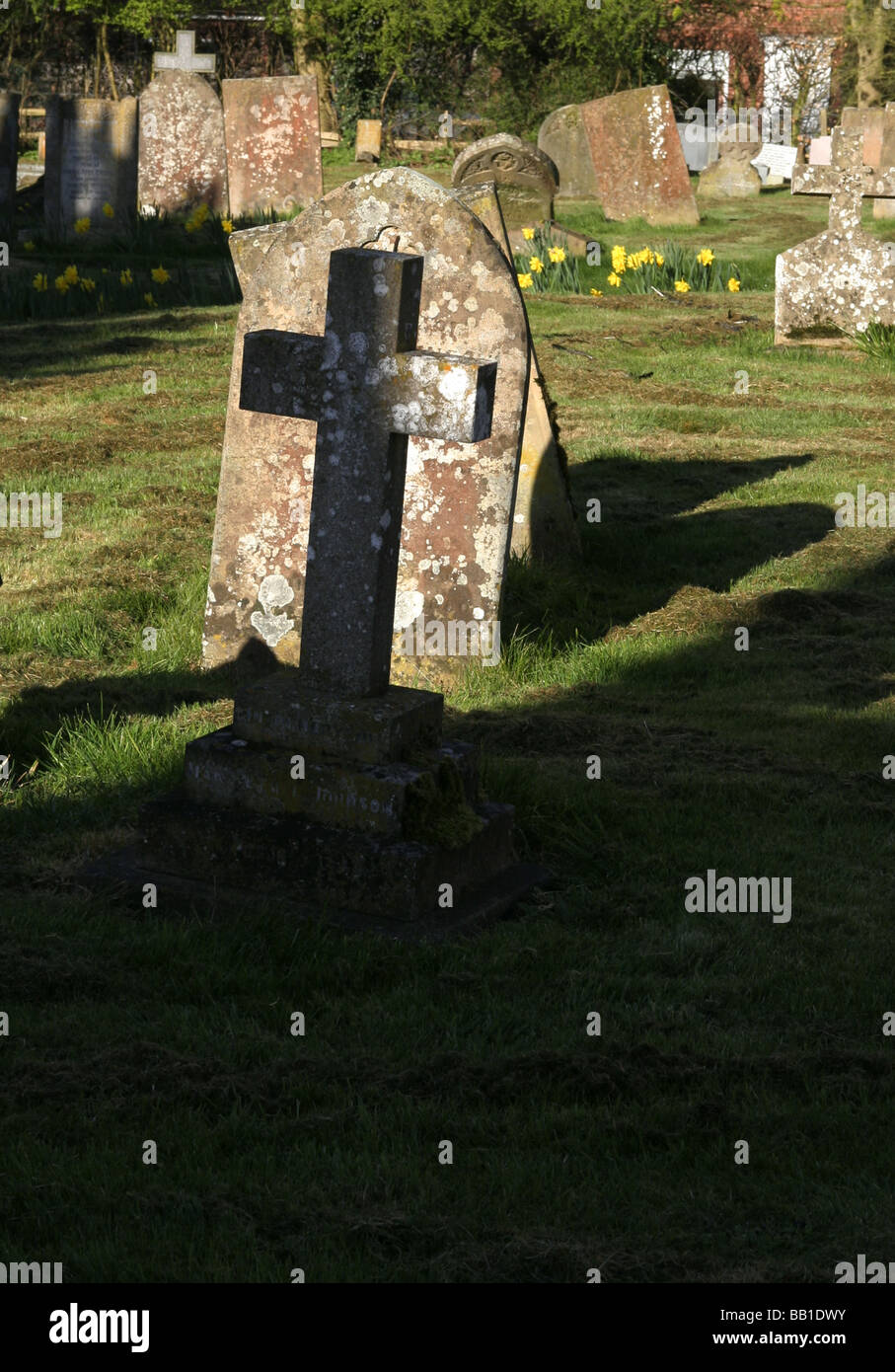 Grabstein, Friedhof Kreuz vor Hintergrund der Grabstein, Schatten, Rasen Narzissen, Frühling. Das Kreuz der Kirche. Stockfoto
