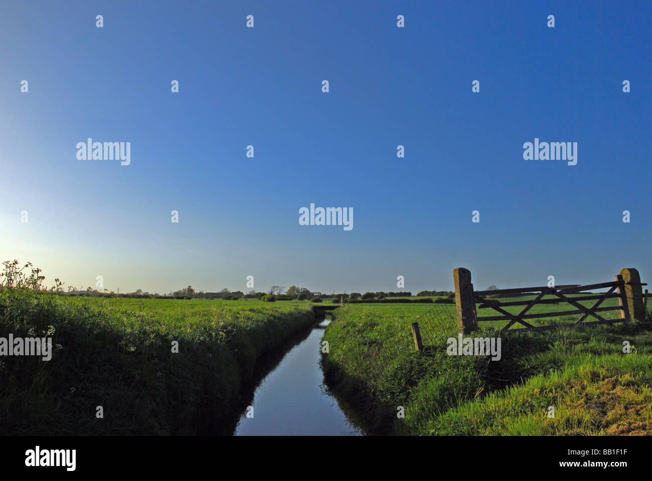 Flusslandschaft mit Feldern, Tor und klaren, blauen Himmel Stockfoto