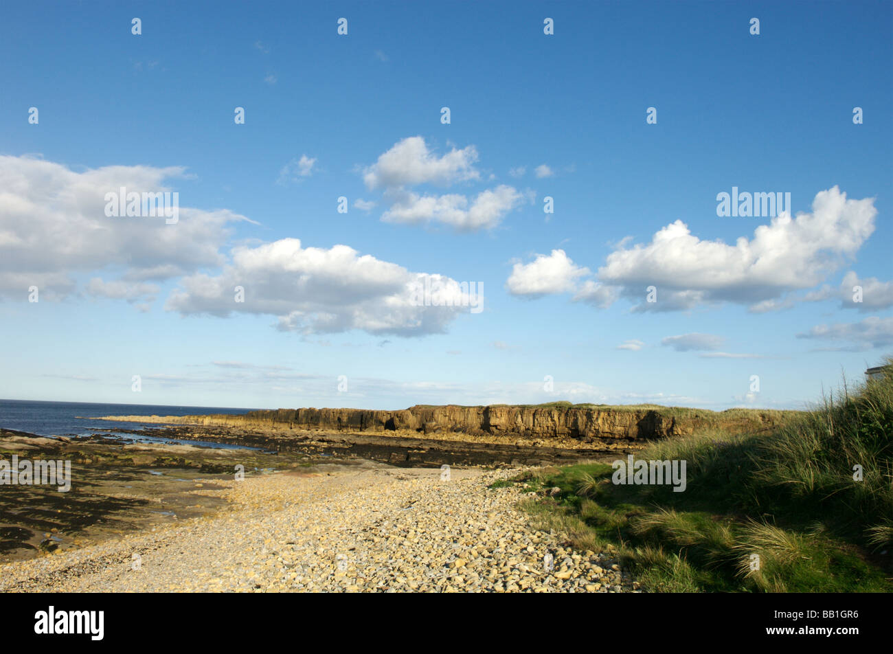 Beadnell Strand, Northumberland Stockfoto
