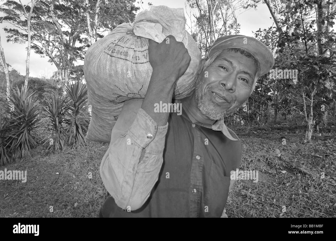 Nicaragua Matagalpa zentrale Lateinamerika Latino Kaffee Hof Picker lächelnd nicaraguanischen Volkes Porträt des Mannes mit schweren Kaffeepad Stockfoto