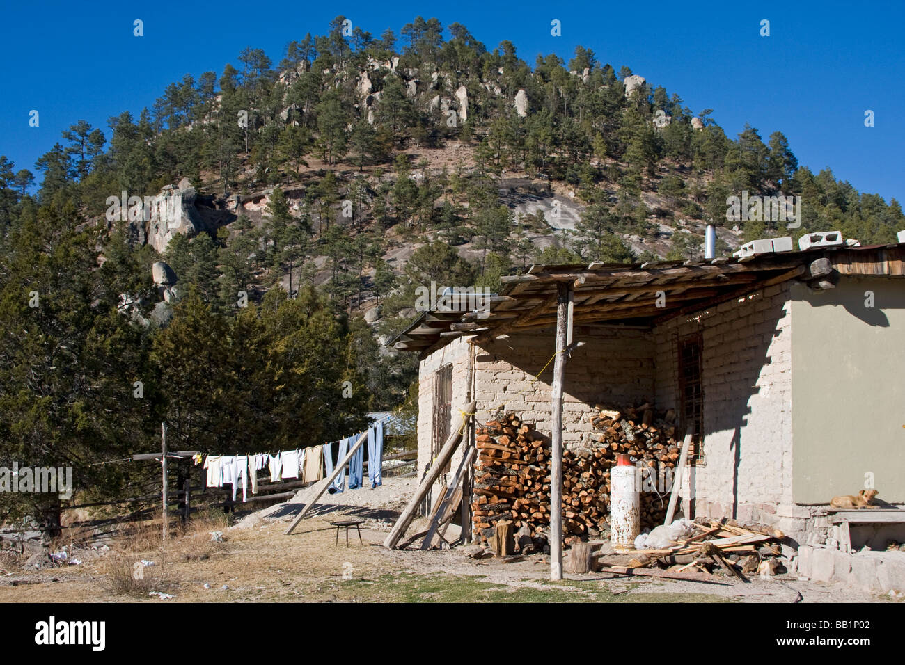 Einfache Adobe-Haus in der Nähe der Stadt Creel im Copper Canyon Bereich von Mexiko Stockfoto