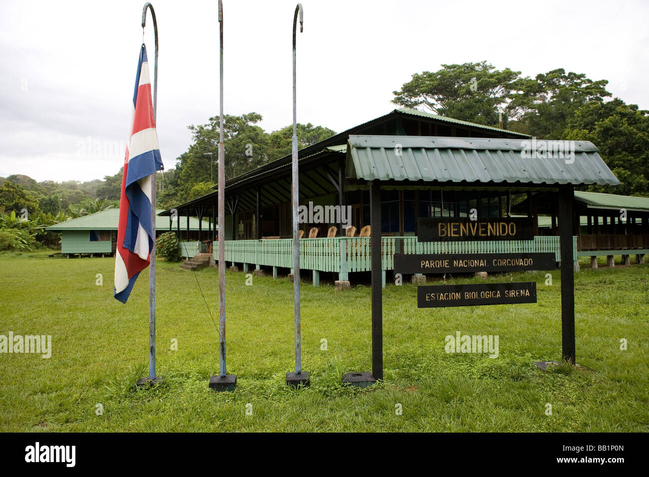 Bei der Sirena Ranger Station in Corcovado Nationalpark, Costa RIca Stockfoto