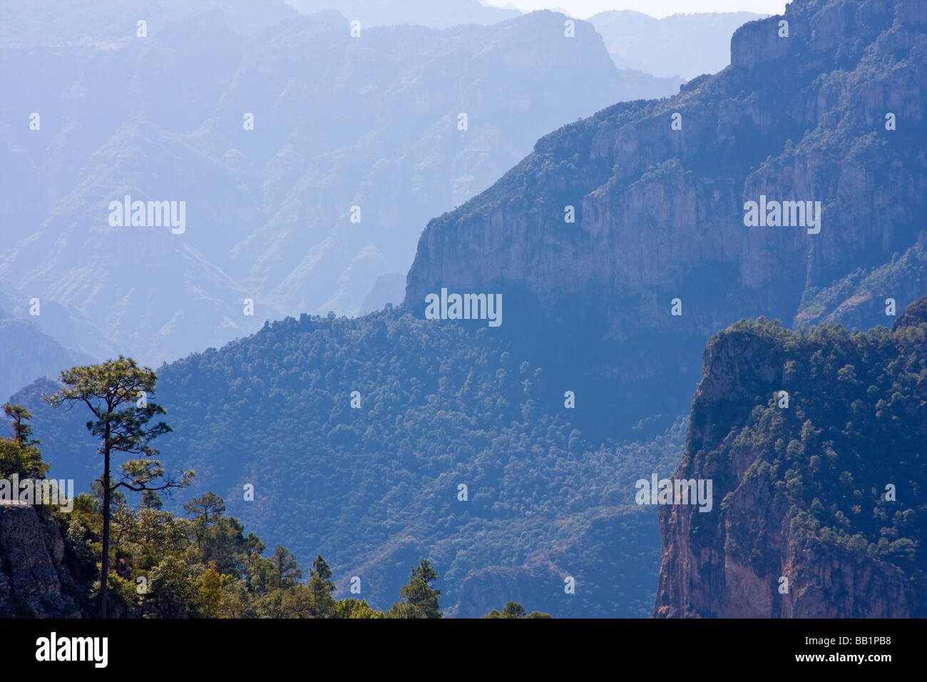 Copper Canyon in Mexiko aus Sicht gesehen. Stockfoto