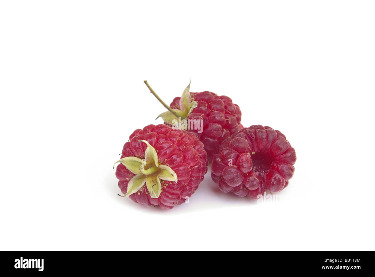 Himbeere Himbeeren 15 Stockfoto