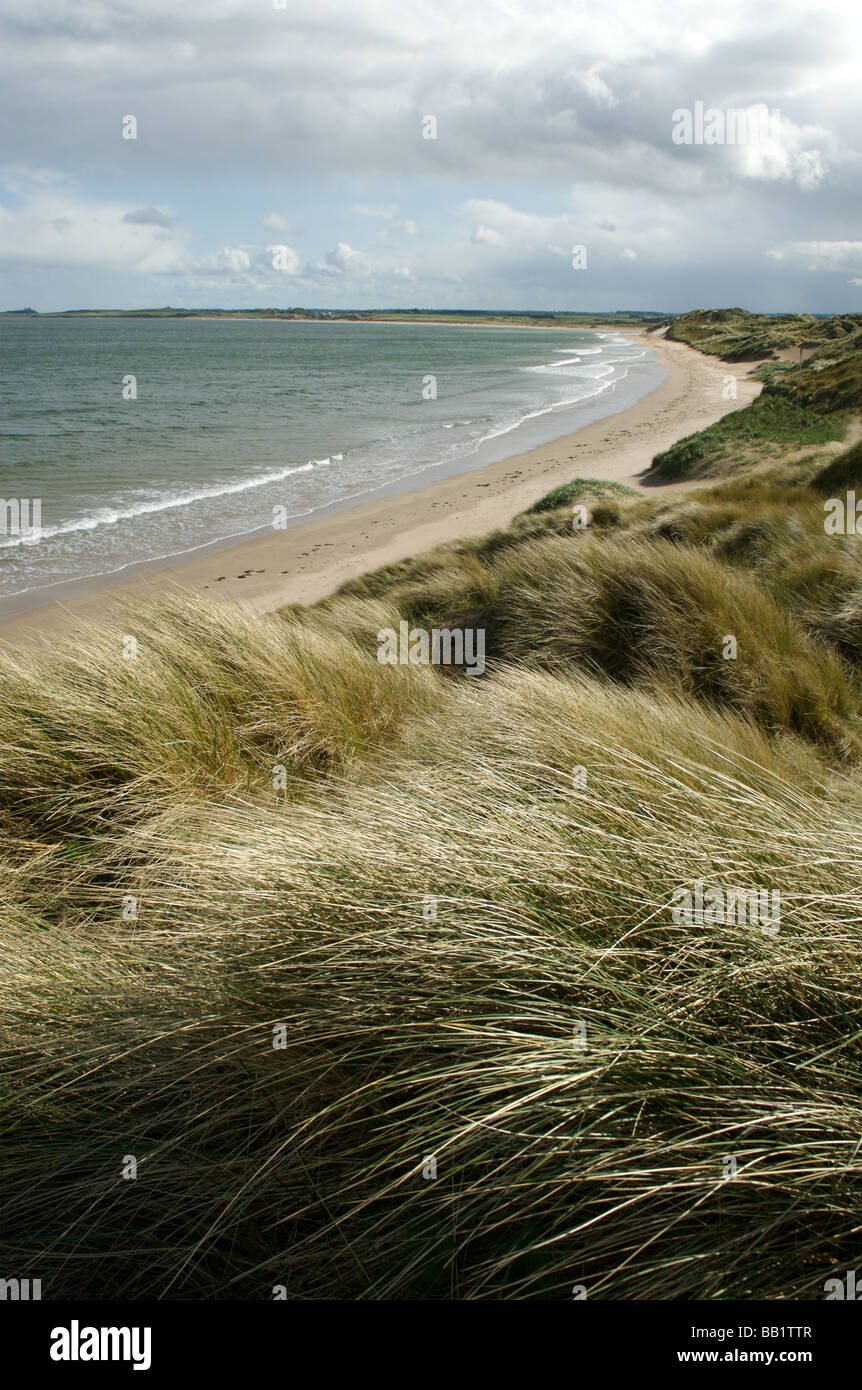 Beadnell Strand, Northumberland Stockfoto